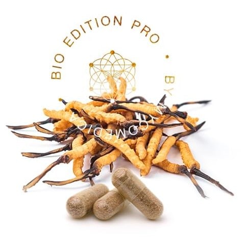 cordyceps-pro-cestouprirody.eu
